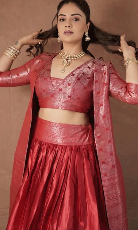 Sree mukhi Stuns in Crimson Brocade Festive Ensemble