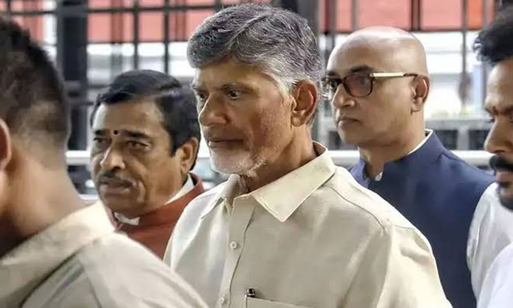 ఏపీలో ఎన్నికల హీట్...ఢిల్లీకి చంద్రబాబు !