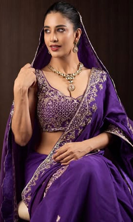 Daksha Nagarkars Purple Saree Look Exudes Traditional Elegance