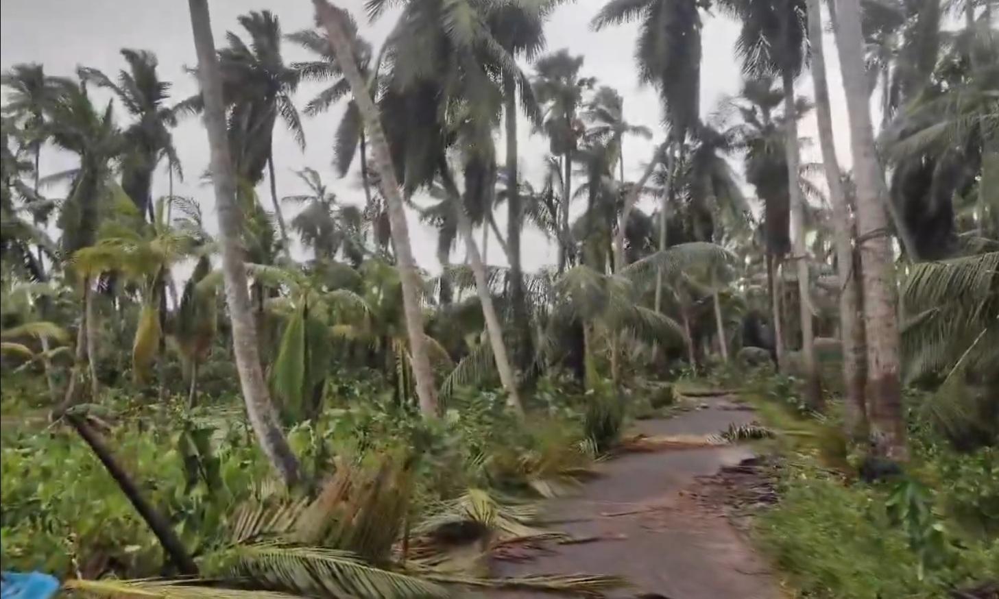 Sad Videos: Cyclone Arnab Damages Coastal AP!