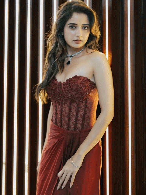 Ashika Ranganath Stuns in a Sultry Burgundy Corset Ensemble