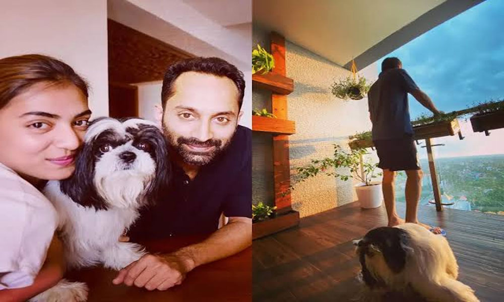 అద్దాల మేడను తలపించే ఫహాద్-నజ్రియా కొచ్చి డ్రీమ్ హోమ్!