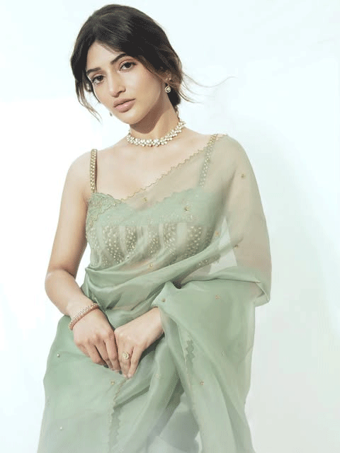 Sreeleela Looks Ethereal in a Mint Green Sheer Saree