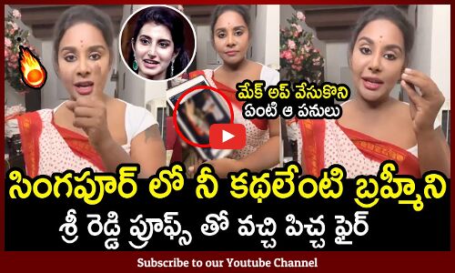 సింగపూర్లో నీ కథలేంటి బ్రహ్మీని శ్రీ రెడ్డి ప్రూఫ్స్ తో వచ్చి పిచ్చ ఫైర్: Srireddy Fires On Brahmani