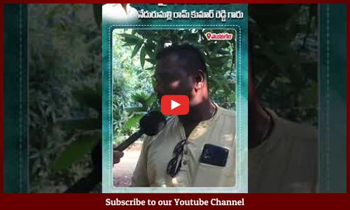 Public Opinion on Nedurumalli Ramkumar Reddy Winning #ysjagan #cmjagan #nedurumalliramkumarreddy