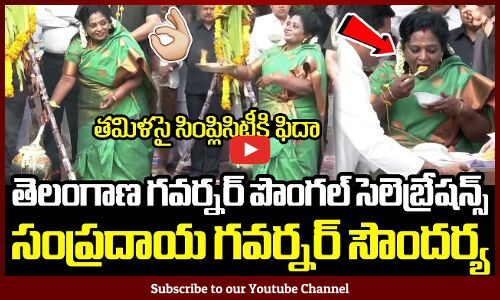తెలంగాణ గవర్నర్ పొంగల్ సెలెబ్రేషన్స్ : TS Governor Tamilisai Soundararajan Pongal Celebrations