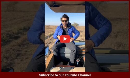 ఆఫ్రికా సింహాలతో రామ్ చరణ్🔥👌: #RamCharan Enjoying His Vacation In Africa #upasana #ytshots #shots