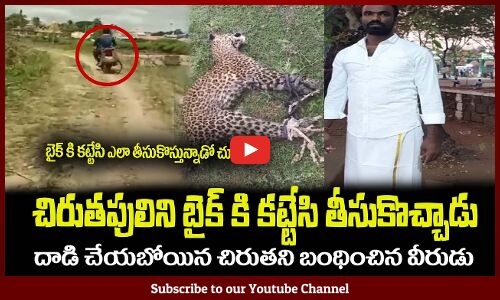 దాడి చేయబోయిన చిరుతని బైక్ కి కట్టేసి తీసుకొచ్చాడు😲Cheetah Entered into a Village in Hasan District