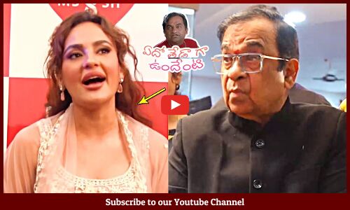 Brahmanandam And Seerat Kapoor Launched MEENA Super Speciality Hospital | Tupaki