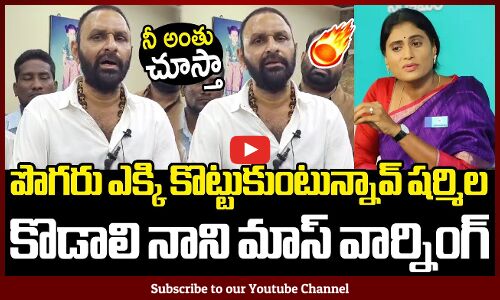 పొగరు ఎక్కి కొట్టుకుంటున్నావ్ షర్మిల🔥🔥 : Kodali Nani Mass Counter To YS Sharmila