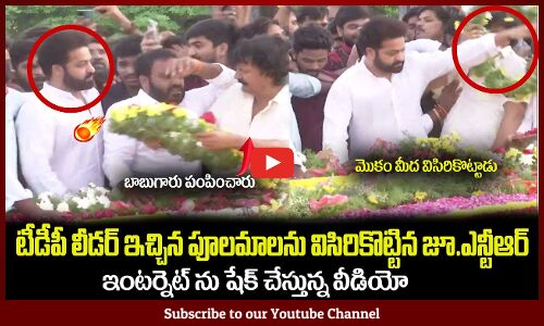 టీడీపీ లీడర్ ఇచ్చిన పూలమాలను విసిరికొట్టిన జూ.ఎన్టీఆర్😲🔥 Jr NTR Angry on a TDP Activist in NTR Ghat