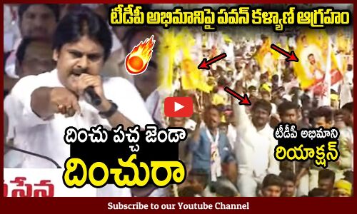 పచ్చ జెండా దించురా టీడీపీ అభిమానిపై పవన్ కళ్యాణ్ ఫైర్😱🔥 : Pawan Kalyan Fires On TDP Fan