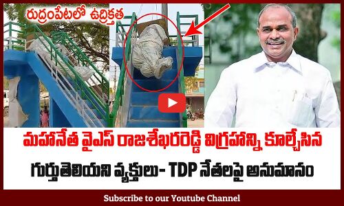 మహానేత వైఎస్ రాజశేఖరరెడ్డి విగ్రహాన్ని కూల్చేసిన: Thugs Destroyed YSR Statue In Rudrampet Panchayati