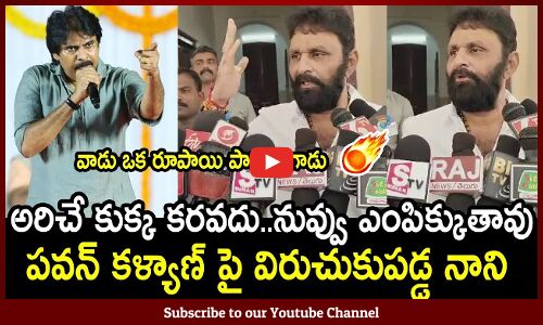 పవన్ కళ్యానికి చుక్కలు చూపించాడు : Kodali Nani Strong Counter To Pawan Kalyan