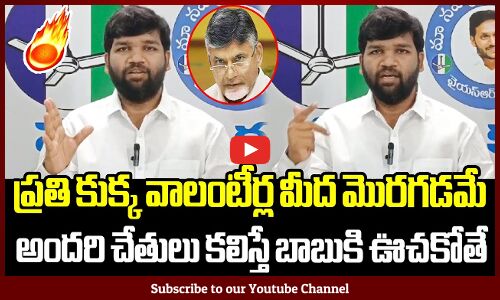 ప్రతి కుక్క వాలంటీర్ల మీద మొరగడమే🔥🔥🔥 : YSRCP Local Leaders Fires On Chandrababu #cmjagan #ysrcp