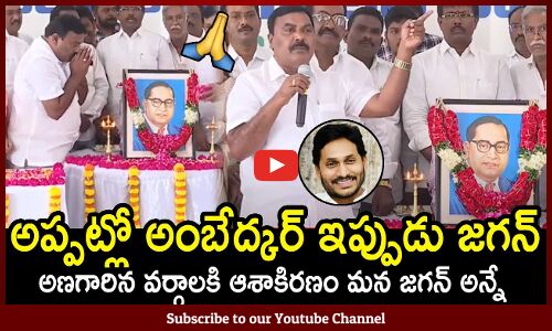 అప్పట్లో అంబేద్కర్ ఇప్పుడు జగన్ : YSRCP Leaders celebrate Constitution Ratification Day