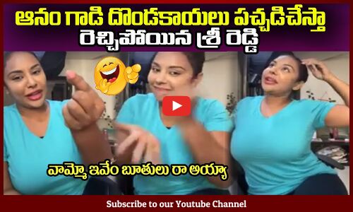 ఆనం గాడి దొండకాయలు పచ్చడిచేస్తా😂రెచ్చిపోయిన శ్రీ రెడ్డిSri Reddy Fires on Anam Venkataramana Reddy