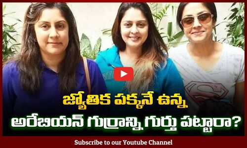 ఈ అరేబియన్ గుర్రాన్ని గుర్తుపట్టారా ? | Jyothika Latest pics | Tupaki