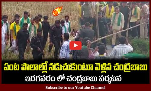 పంట పొలాల్లో నడుచుకుంటూ వెళ్లిన చంద్రబాబు😲 Chandrababu Naidu Walking in paddy field