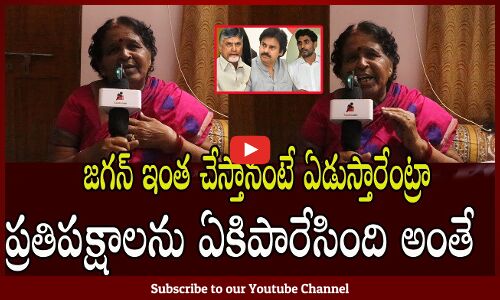 ప్రతిపక్షాన్ని చెడుగుడు ఆడేసుకుంది..| Comman Lady Fires On Pawan Kalyan | Tupaki political