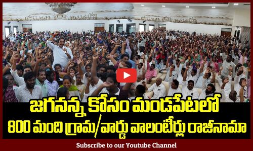 జగనన్న కోసం మండపేటలో 800 మంది గ్రామ వార్డు వాలంటీర్లు రాజీనామా🔥💪🏻: CM Jagan | Tupaki Political