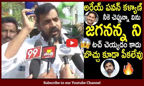 బొచ్చు కూడా పీకలేవు😱: MLA Anil Kumar Yadav Sensational Comments to Pawan Kalyan about YS Jagan