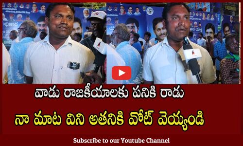 Common Lady Satirical Comments On Pawan Kalyan | Public Talk On Ap Cm | tupaki Political