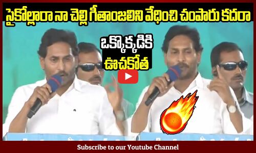 సైకోల్లారా నా చెల్లి గీతాంజలిని వేధించి చంపారు కదరా : CM Jagan about Geethanjali Incident