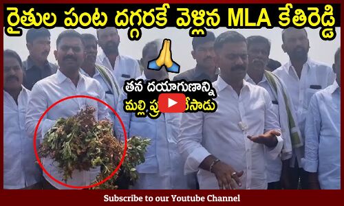 MLA కేతిరెడ్డి తన దయాగుణాన్ని మల్లి ప్రూవ్ చేసాడు : MLA Kethireddy Show Mercy On Farmers