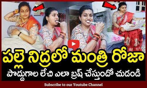 పొద్దుగాల లేచి ఎలా బ్రష్ చేస్తుందో చుడండి : Minister RK Roja Participated Palle Nidra Program