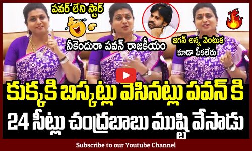 నీకెందురా పవన్ రాజకీయం🔥: Minister Roja Hilarious Punches On Pawan Kalyan Seats Distribution | YSRCP