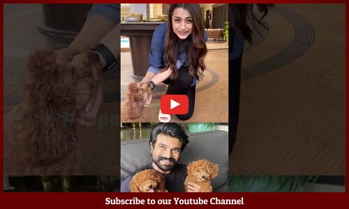 రైమ్‌తో ఆడుకుంటున్న త్రిష😍😍: #TrishaKrishnan #RamCharan pet #Rhyme #Upasana  #Vishwambhara #shots