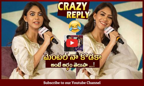 Mrunal Thakur Super Cute Telugu Reply To Media Question @ Family Star Press Meet | Vijay Deverakonda
