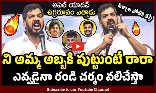 ని అమ్మ అబ్బకి పుట్టుంటే రండిరా🔥🔥 : Anil Kumar Yadav Fires On TDP Leaders