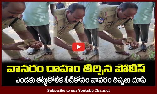 వానరం దాహం తీర్చిన పోలీస్👏మానవత్వం చాటాడు Police Feeding Water to a Monkey