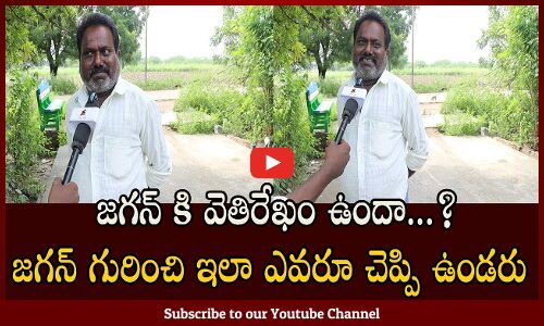 Public Serious Reaction On AP Politics | Public TalK On AP Next CM | Tupaki political