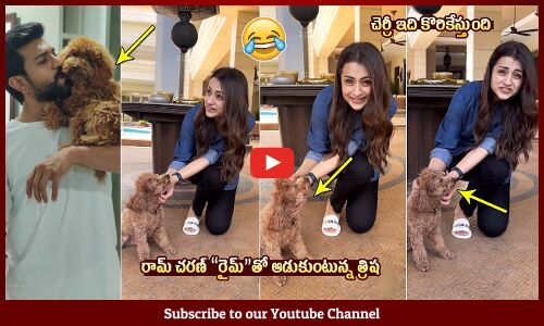 రైమ్‌తో ఆడుకుంటున్న త్రిష😍: Trisha Krishnan Playing With Ram Charan Pet Rhyme | Vishwambhara