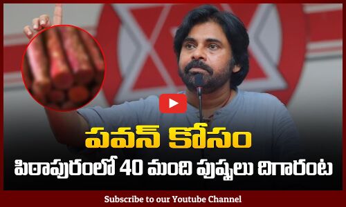 Pawan Kalyan Shocking Comments On Ys Jagan | పవన్ కోసం పిఠాపురంలో 40 మంది పుష్పలు దిగారంట