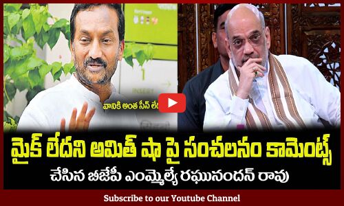 అమిత్ షా పై సంచలనం కామెంట్స్ చేసిన😮రఘునందన్ రావు BJP MLA Raghunandan Rao || Amit Shah