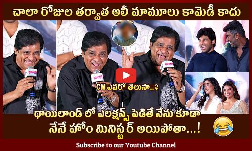 నేనే హోం మినిస్టర్ 🤣: Actor Ali Satirical Comments @ Buddy Trailer Launch Event | Allu Sirish