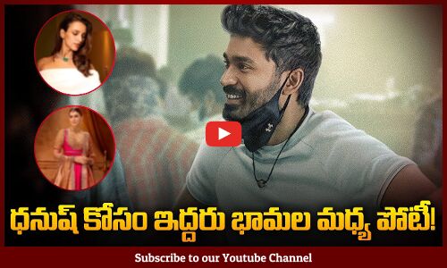 Dhanush Latest Movie Heroines Update | Star Heroines for Dhanush Movie | Tupaki