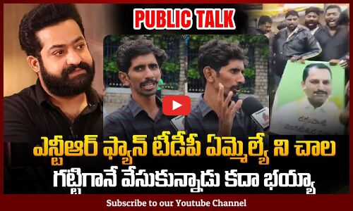 NTR Fan Fires on MLA Daggupati Venkateswara Prasad | NTR vs TDP MLA | Tupaki