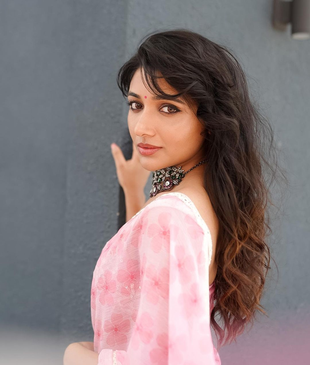 Mirnaa Menon Stunning Saree