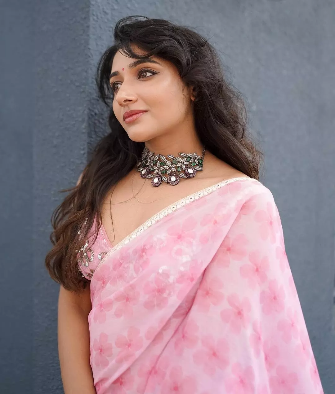 Mirnaa Menon Stunning Saree