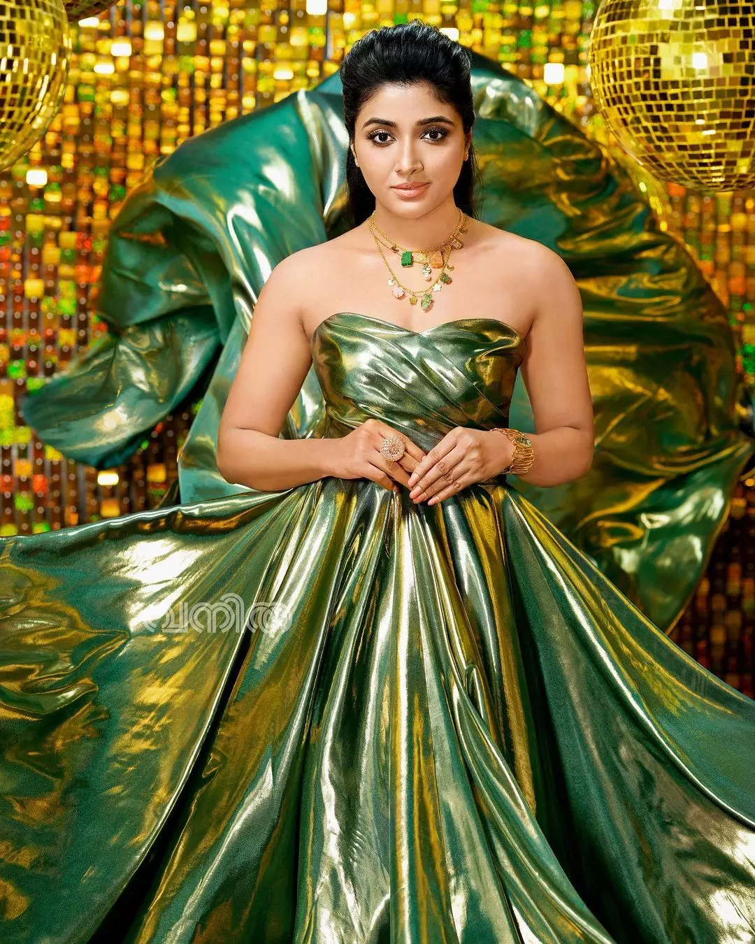 Mirnaa Menon Stunning Saree Mirnaa Menon Stunning Saree