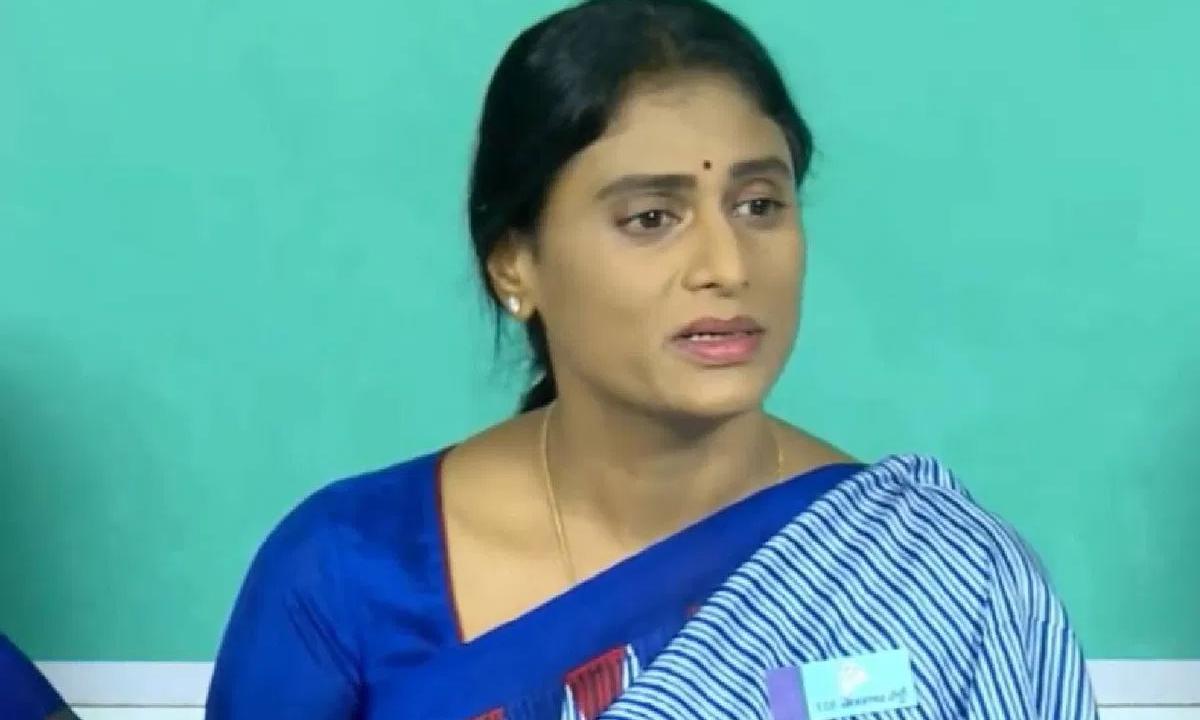 Shar Mulla R షర్మిల సర్టిఫికేట్..ఏపీలో వైఎస్సార్ కాంగ్రెస్ కి అది ఇబ్బందేనా ...
