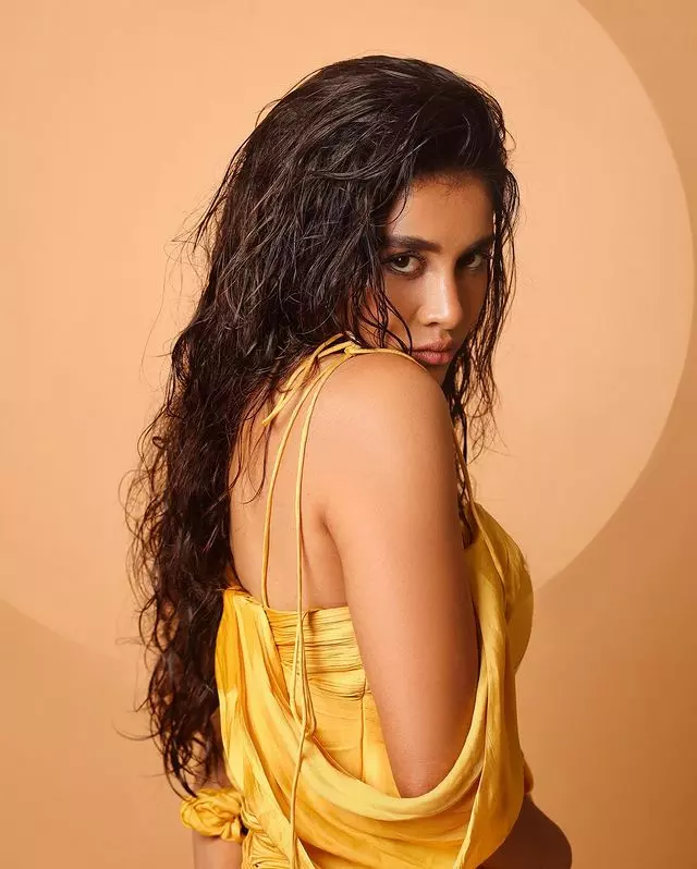 THESE Nabha Natesh Photos Will Make You Fall In Love