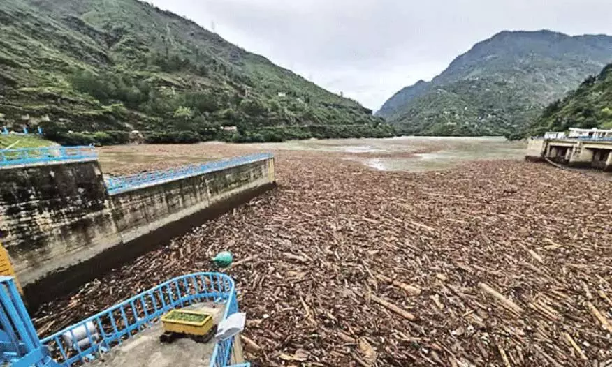 హిమాచల్  ప్రదేశ్  లో పుష్ప సీన్... నెట్టింట కామెంట్స్  వైరల్!