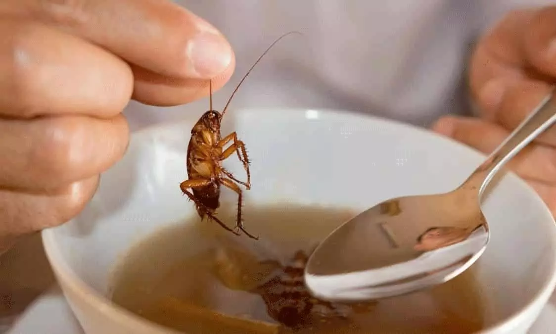 కర్రీలో బొద్దింక.. పెద్దపల్లి రెస్టారెంట్ కు ఫైన్ షాక్