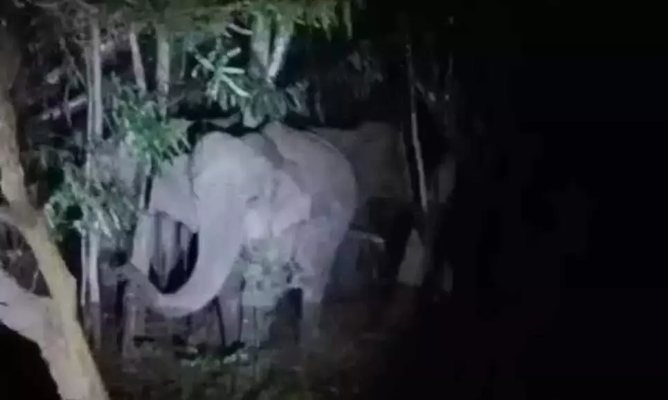 భక్తులకు టీటీడీ బిగ్ అలర్డ్.. ఇప్పుడు మరో ముప్పు!